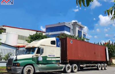 NGHĨA PHÁT STEEL VƯƠN MÌNH RA KHƠI
